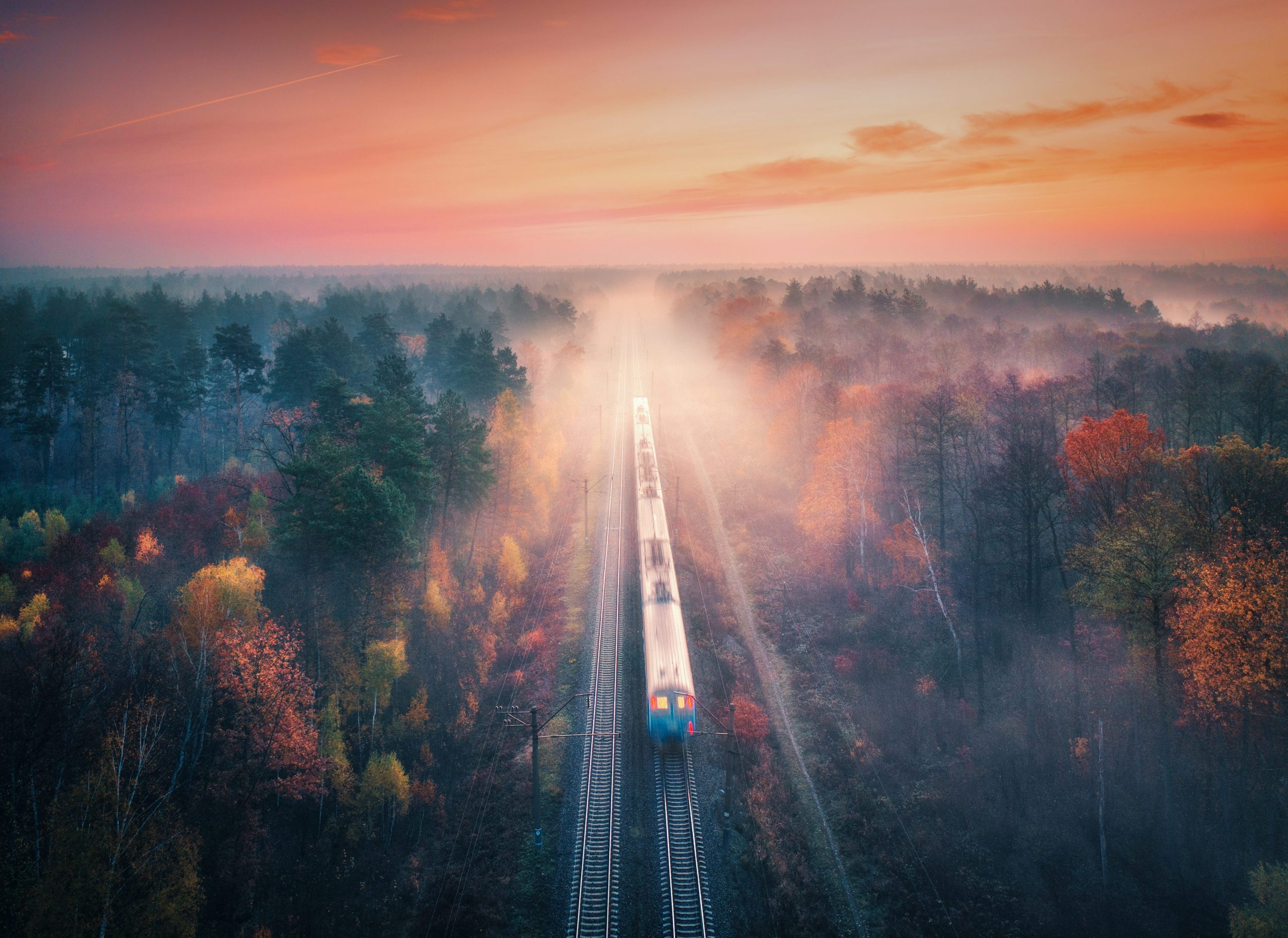 train-in-colorful-forest-in-fog-at-sunri